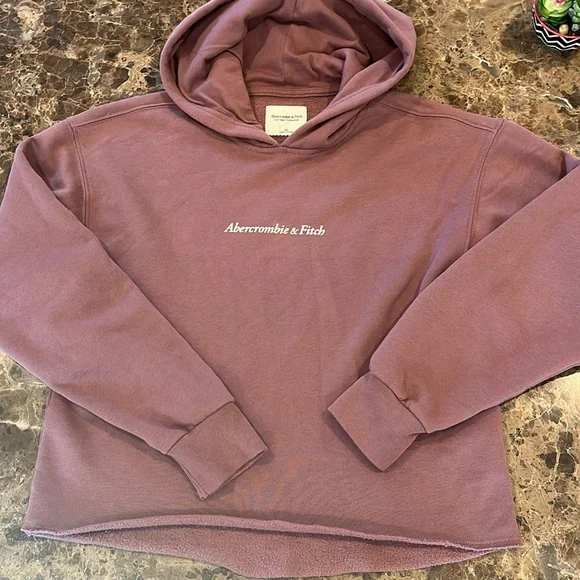 Abercrombie & Fitch Mauve Soft Fleece Oversized Cropped Logo Hoodie size XS - Picture 2 of 8